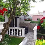 Maletic Póla